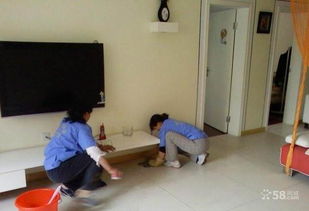 明亮家政服務(wù)中心 點(diǎn)亮生活，專業(yè)家政服務(wù)守護(hù)家的溫度